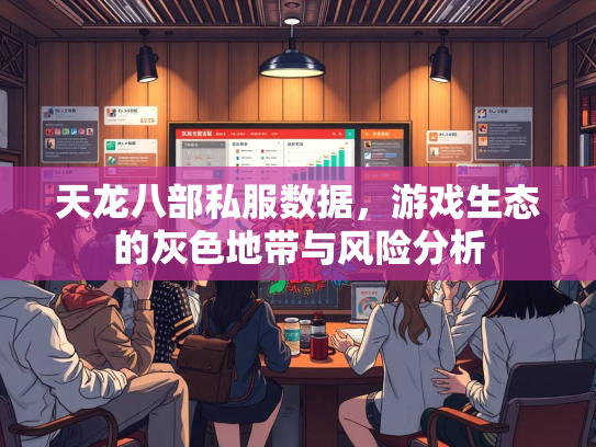 天龙八部私服数据，游戏生态的灰色地带与风险分析  第1张