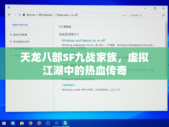天龙八部SF九战家族，虚拟江湖中的热血传奇  第1张
