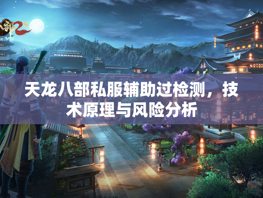 天龙八部私服辅助过检测，技术原理与风险分析  第3张