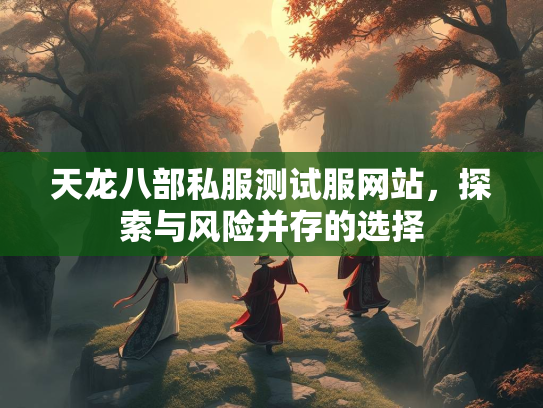 天龙八部私服测试服网站，探索与风险并存的选择  第2张