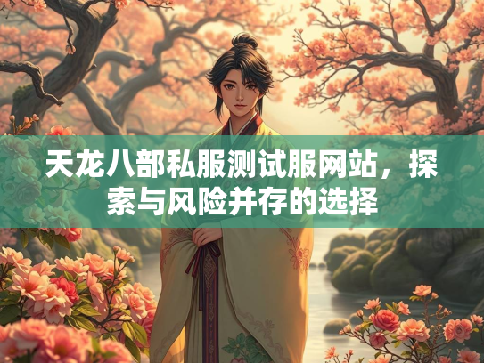 天龙八部私服测试服网站，探索与风险并存的选择  第3张