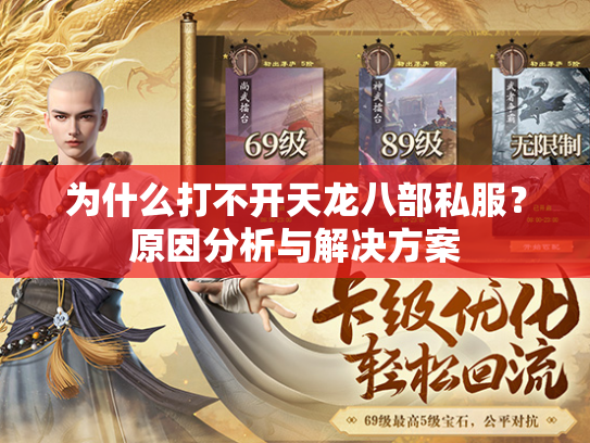 为什么打不开天龙八部私服？原因分析与解决方案  第1张