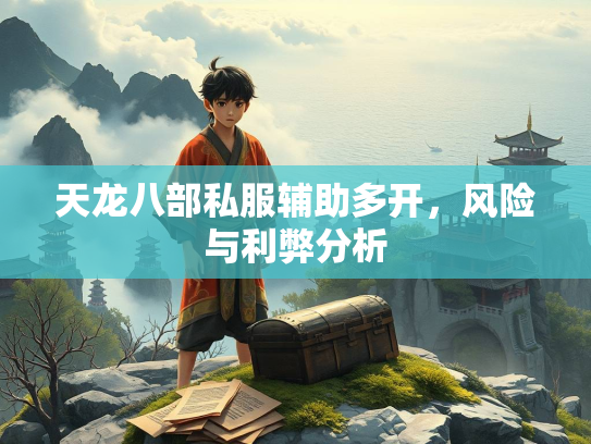天龙八部私服辅助多开，风险与利弊分析  第3张
