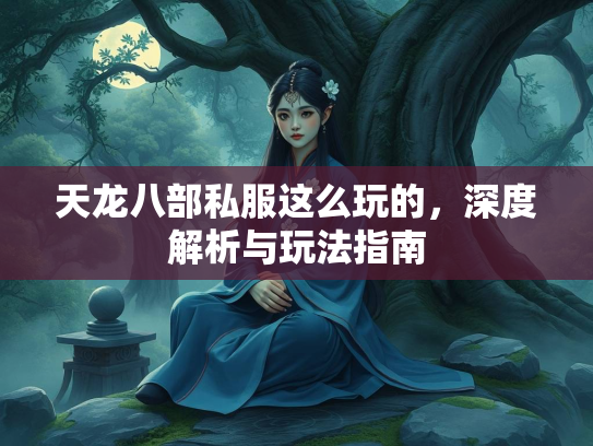 天龙八部私服这么玩的，深度解析与玩法指南  第2张