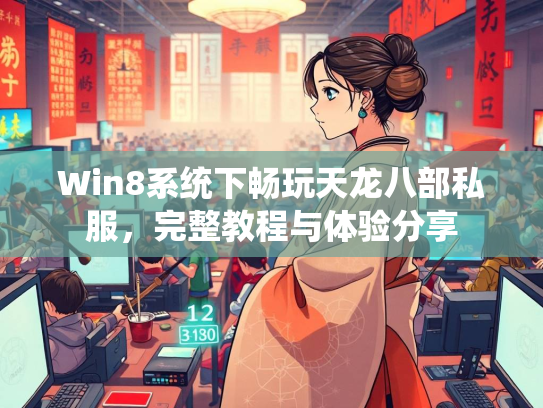 Win8系统下畅玩天龙八部私服，完整教程与体验分享  第2张
