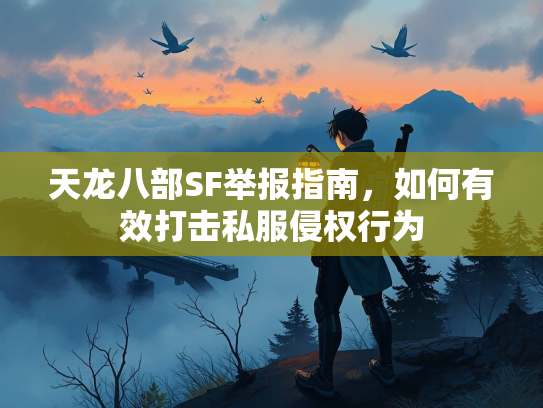 天龙八部SF举报指南，如何有效打击私服侵权行为  第3张