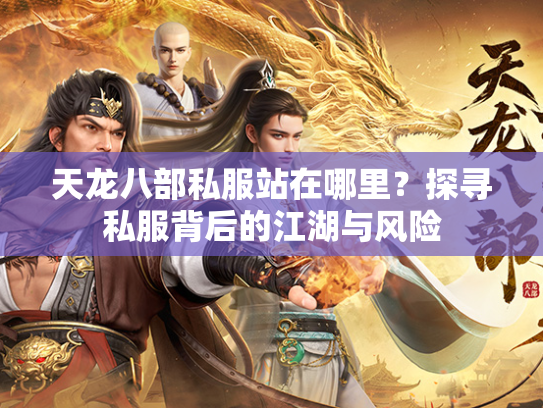 天龙八部私服站在哪里？探寻私服背后的江湖与风险  第3张