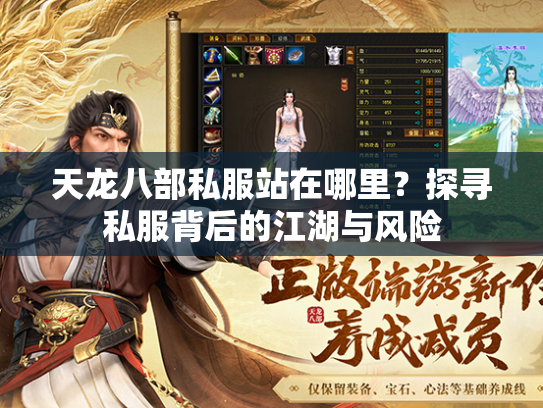 天龙八部私服站在哪里？探寻私服背后的江湖与风险  第4张