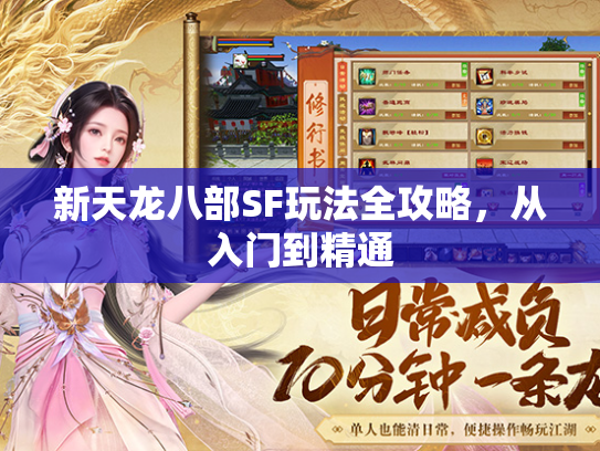 新天龙八部SF玩法全攻略，从入门到精通  第2张