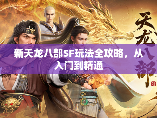 新天龙八部SF玩法全攻略，从入门到精通  第3张