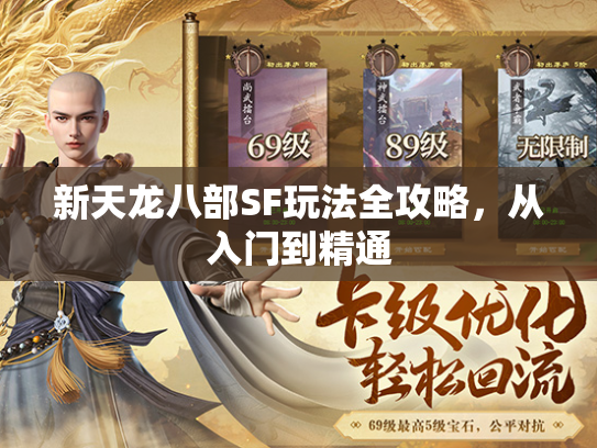 新天龙八部SF玩法全攻略，从入门到精通  第1张