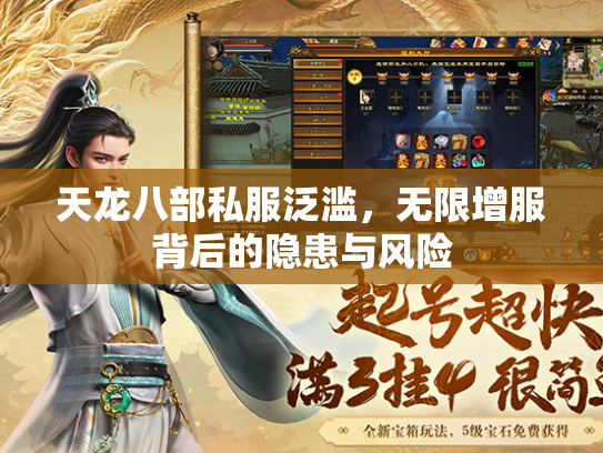 天龙八部私服泛滥，无限增服背后的隐患与风险  第2张