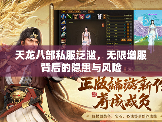 天龙八部私服泛滥，无限增服背后的隐患与风险  第1张