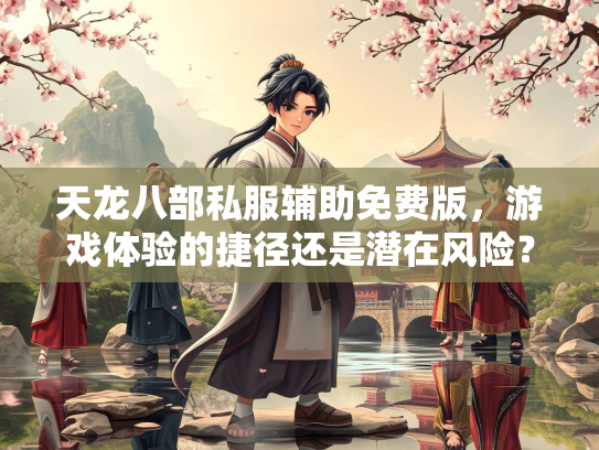 天龙八部私服辅助免费版，游戏体验的捷径还是潜在风险？  第2张