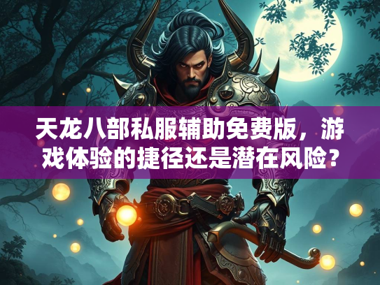 天龙八部私服辅助免费版，游戏体验的捷径还是潜在风险？  第1张