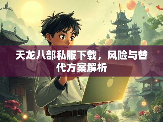 天龙八部私服下载，风险与替代方案解析  第2张