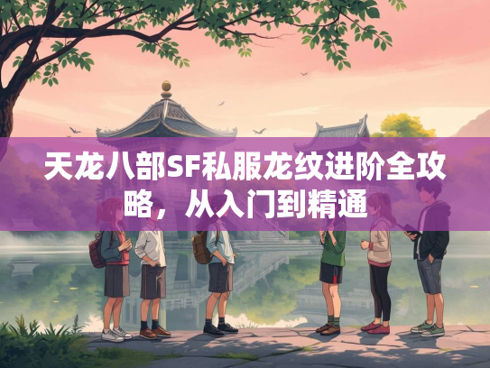 天龙八部SF私服龙纹进阶全攻略，从入门到精通