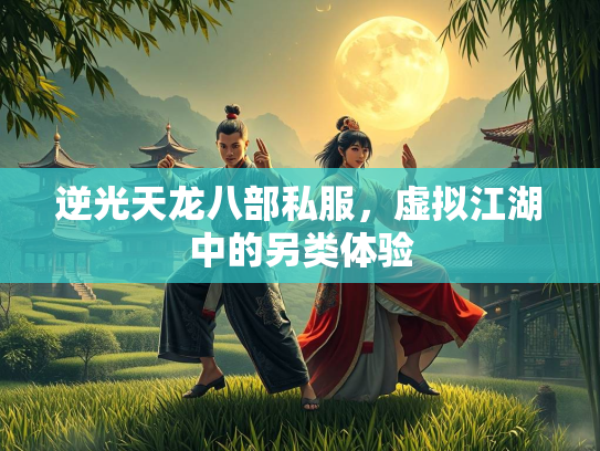 逆光天龙八部私服，虚拟江湖中的另类体验
