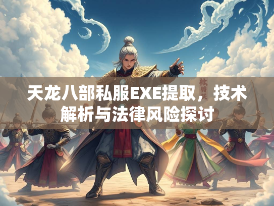 天龙八部私服EXE提取，技术解析与法律风险探讨  第1张