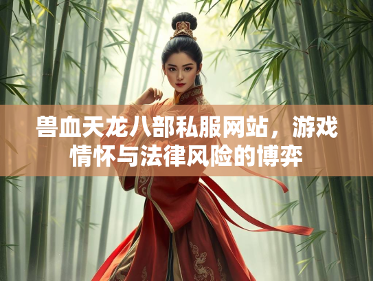 兽血天龙八部私服网站，游戏情怀与法律风险的博弈
