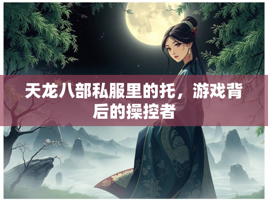 天龙八部私服里的托，游戏背后的操控者  第3张