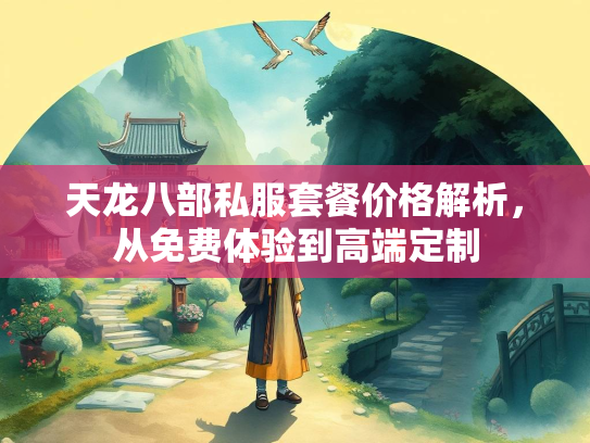 天龙八部私服套餐价格解析，从免费体验到高端定制