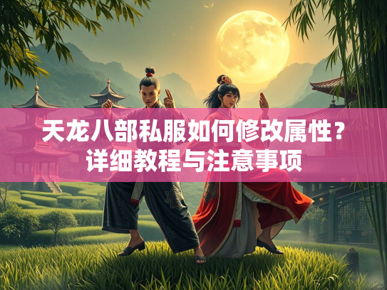 天龙八部私服如何修改属性？详细教程与注意事项