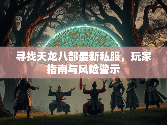 寻找天龙八部最新私服，玩家指南与风险警示