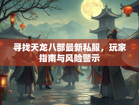 寻找天龙八部最新私服，玩家指南与风险警示