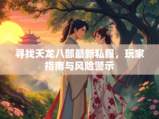 寻找天龙八部最新私服，玩家指南与风险警示