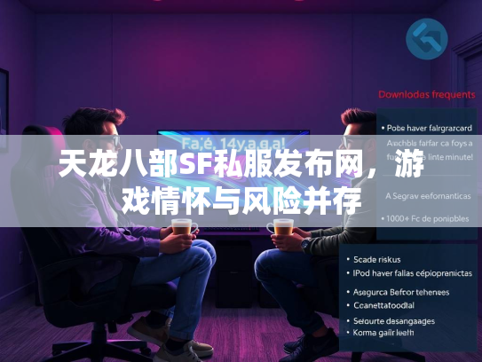 天龙八部SF私服发布网，游戏情怀与风险并存