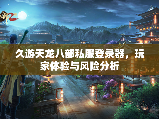 久游天龙八部私服登录器，玩家体验与风险分析