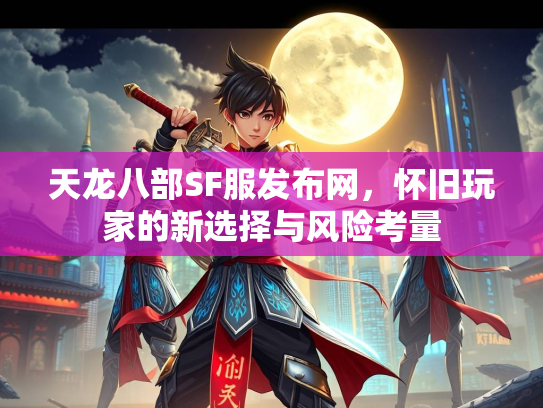 天龙八部SF服发布网，怀旧玩家的新选择与风险考量