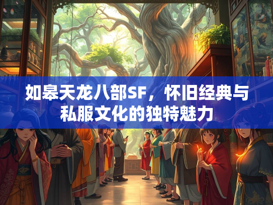 如皋天龙八部SF，怀旧经典与私服文化的独特魅力