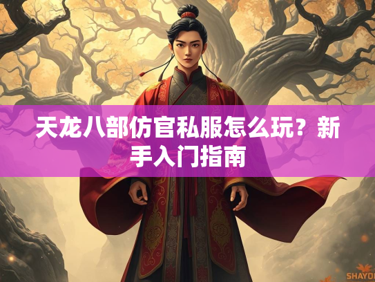 天龙八部仿官私服怎么玩？新手入门指南