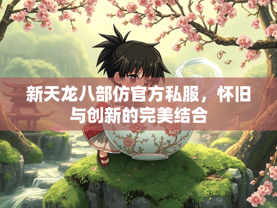 新天龙八部仿官方私服，怀旧与创新的完美结合