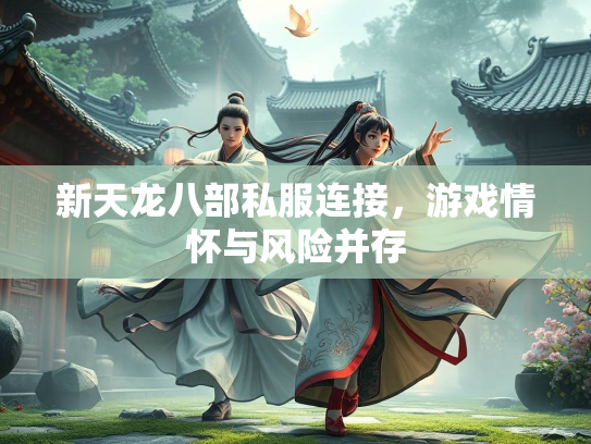 新天龙八部私服连接，游戏情怀与风险并存