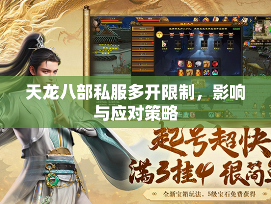 天龙八部私服多开限制，影响与应对策略  第1张