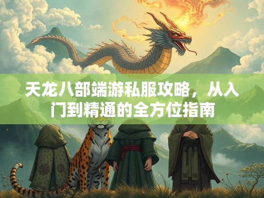 天龙八部端游私服攻略，从入门到精通的全方位指南  第3张