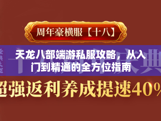 天龙八部端游私服攻略，从入门到精通的全方位指南  第1张
