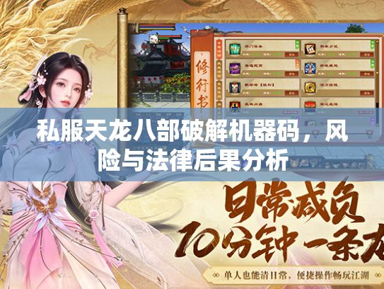 私服天龙八部破解机器码，风险与法律后果分析  第2张