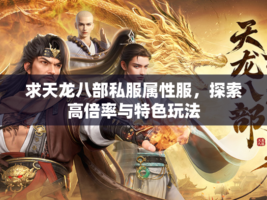 求天龙八部私服属性服，探索高倍率与特色玩法  第2张