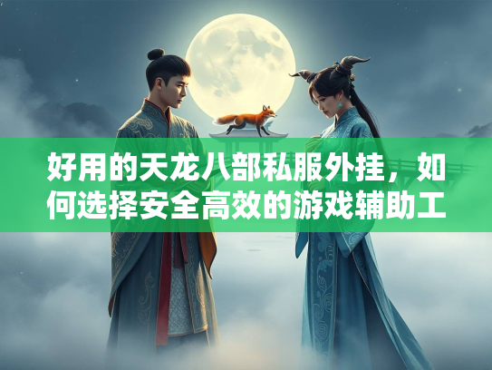 好用的天龙八部私服外挂，如何选择安全高效的游戏辅助工具？  第4张