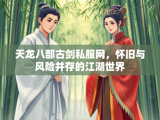 天龙八部古剑私服网，怀旧与风险并存的江湖世界  第3张