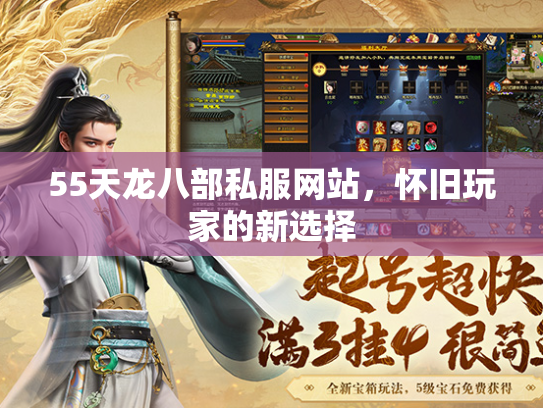 55天龙八部私服网站，怀旧玩家的新选择  第2张