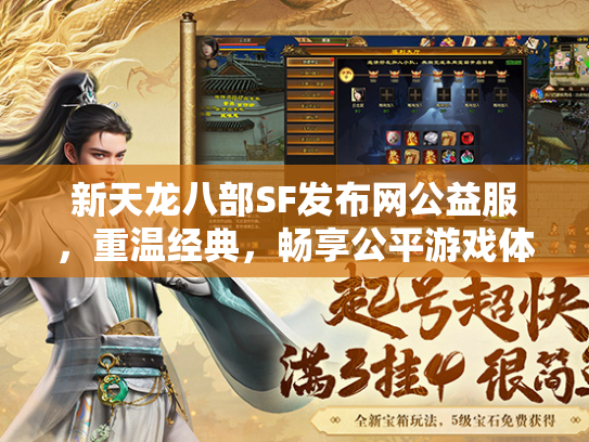 新天龙八部SF发布网公益服，重温经典，畅享公平游戏体验  第3张