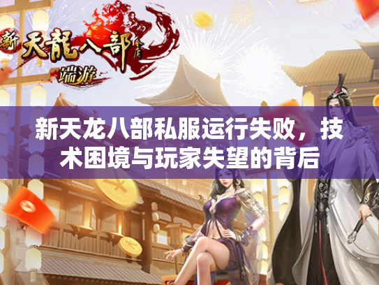 新天龙八部私服运行失败，技术困境与玩家失望的背后  第4张