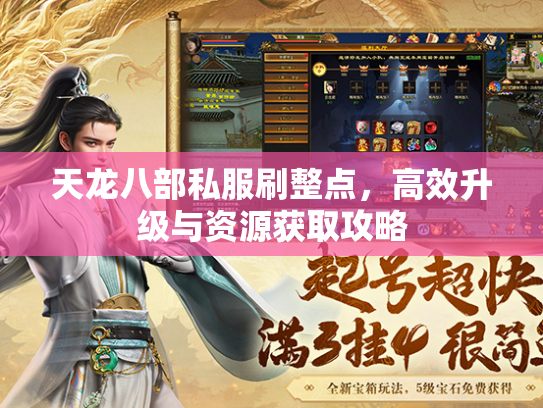 天龙八部私服刷整点，高效升级与资源获取攻略  第3张