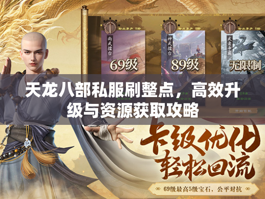 天龙八部私服刷整点，高效升级与资源获取攻略  第1张