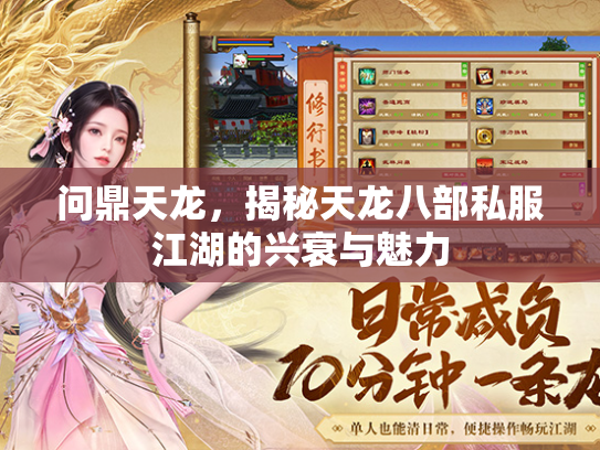 问鼎天龙，揭秘天龙八部私服江湖的兴衰与魅力  第1张